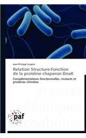 Relation Structure-Fonction de la Protéine Chaperon Dnak