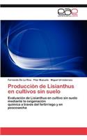 Producción de Lisianthus en cultivos sin suelo