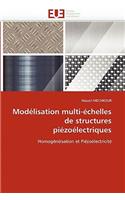 Modélisation multi-échelles de structures piézoélectriques