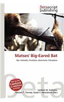 Matses' Big-Eared Bat: (English)