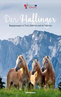 Der Haflinger