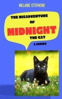 Misadventure of Midnight the Cat