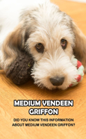 Medium Vendeen Griffon