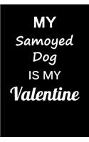 My Samoyed Dog Is My Valentine