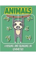 Animals Coloring And Drawing In Symmetry