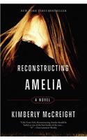 Reconstructing Amelia