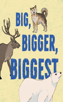 Big, Bigger, Biggest: English Edition