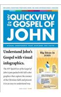 NIV, QuickView of the Gospel of John, Paperback