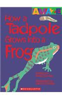 How a Tadpole Grows Into a Frog: (Amaze (Hardcover))