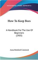How To Keep Bees