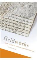 Fieldworks: From Place to Site in Postwar Poetics(Modern & Contemporary Poetics)