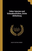 Ueber Injurien und Schmähschriften, Dritte Abtheilung