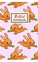 RABBIT Notebook