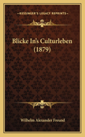 Blicke In's Culturleben (1879)