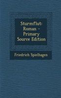 Sturmflut: Roman