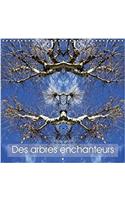 Des arbres enchanteurs 2017