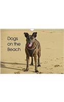 Dogs on the Beach 2018