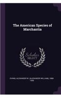 American Species of Marchantia
