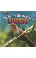 The Bizarre Life Cycle of a Cuckoo: (Strange Life Cycles)