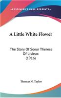 A Little White Flower