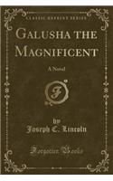 Galusha the Magnificent: A Novel (Classic Reprint): A Novel (Classic Reprint)