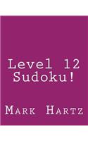Level 12 Sudoku!
