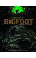 Encountering Bigfoot