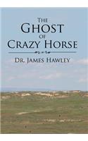 Ghost of Crazy Horse