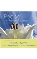 Peace in the Present Moment