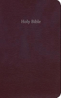 Gift & Award Bible-Ceb: Common English Bible, Gift &amp; Award, Burgundy, Red Letter