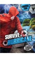 Survive a Hurricane: (Survival Zone)