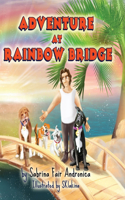 Adventure At Rainbow Bridge