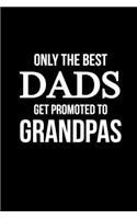Only The Best Dads Get Promoted To Grandpa