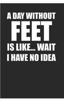 Feet Lover Notebook 120 Pages Perfect for Foot Lovers