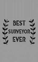 Best Surveyor Ever