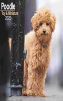 Poodle (Toy & Miniature) 2023 Wall Calendar