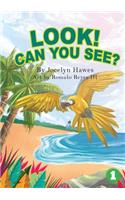 Look Can You See