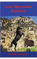 Lost Mountain Stallion