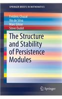 Structure and Stability of Persistence Modules