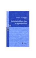 Endothelial Function in Hypertension