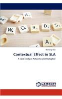 Contextual Effect in SLA