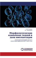 Morfologicheskie Izmeneniya Tkaney V Zone Implantatsii