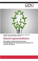 Etanol Lignocelulosico
