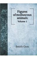 Figures of Molluscous Animals Volume 1