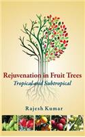 Rejuvenation in Fruit Trees