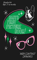 Baby's First Picture Book!