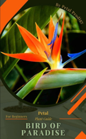 Bird of Paradise