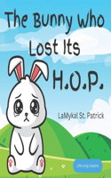 Bunny Who Lost Its H.O.P.