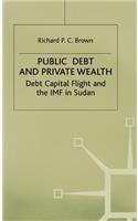 Public Debt and Private Wealth