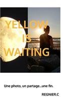 Yellow is waiting